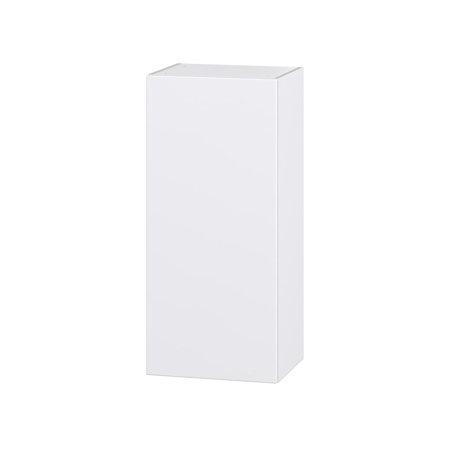Hugo&Borg Lasalle 18-in W x 40-in H x 14-in D Bright White Slab Wall Fully assembled Cabinet Flat Panel