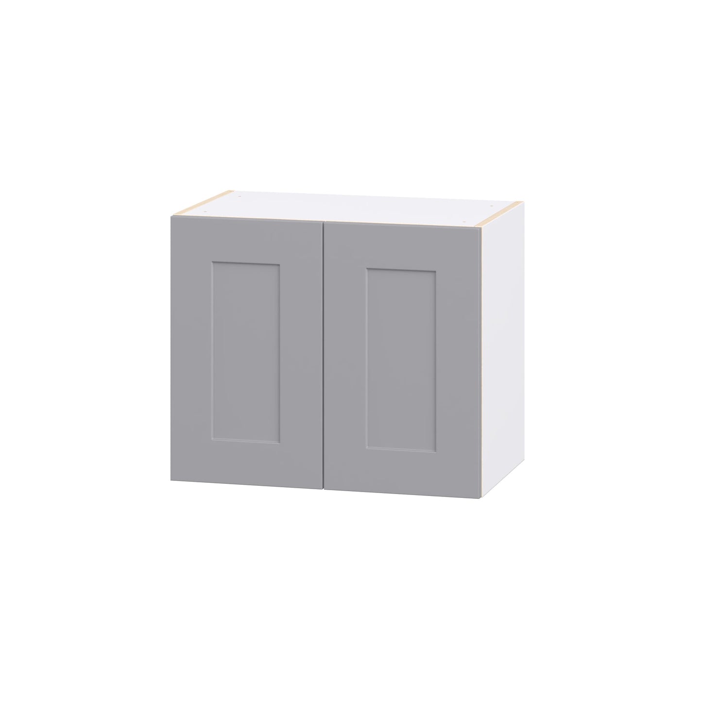 Hugo&Borg Beaumont 24-in W x 20-in H x 14-in D Slate Gray Wall Fully assembled Cabinet Recessed Panel