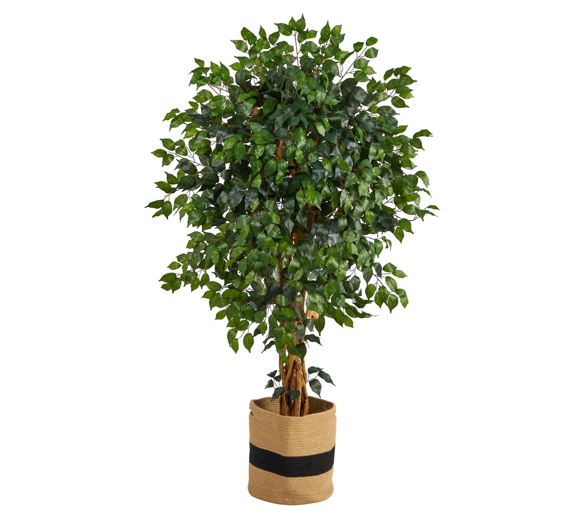 5.5' Palace Ficus Cotton Planter by Nearly Natual
