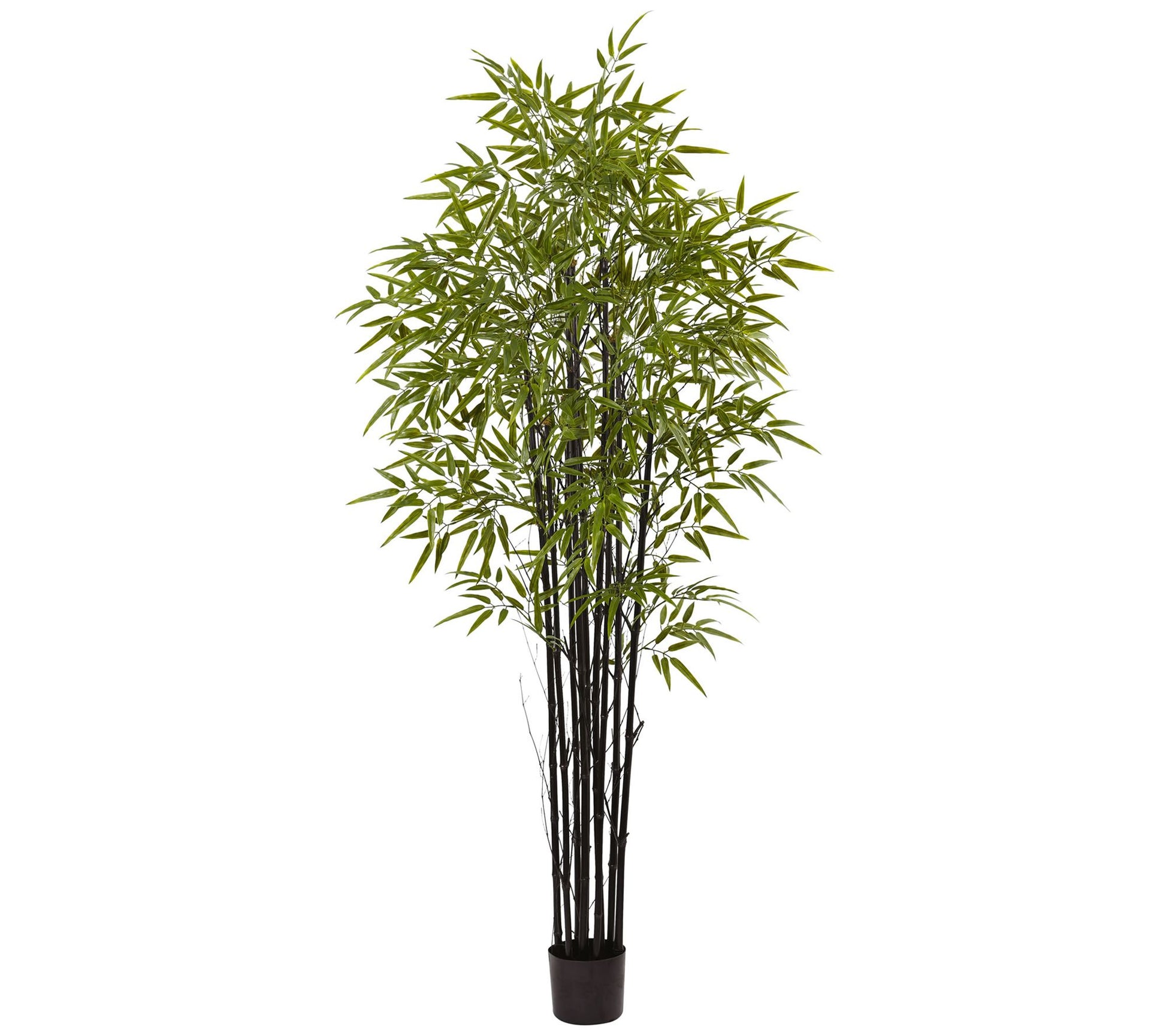 6' Black Bamboo Tree by Nearly Natural