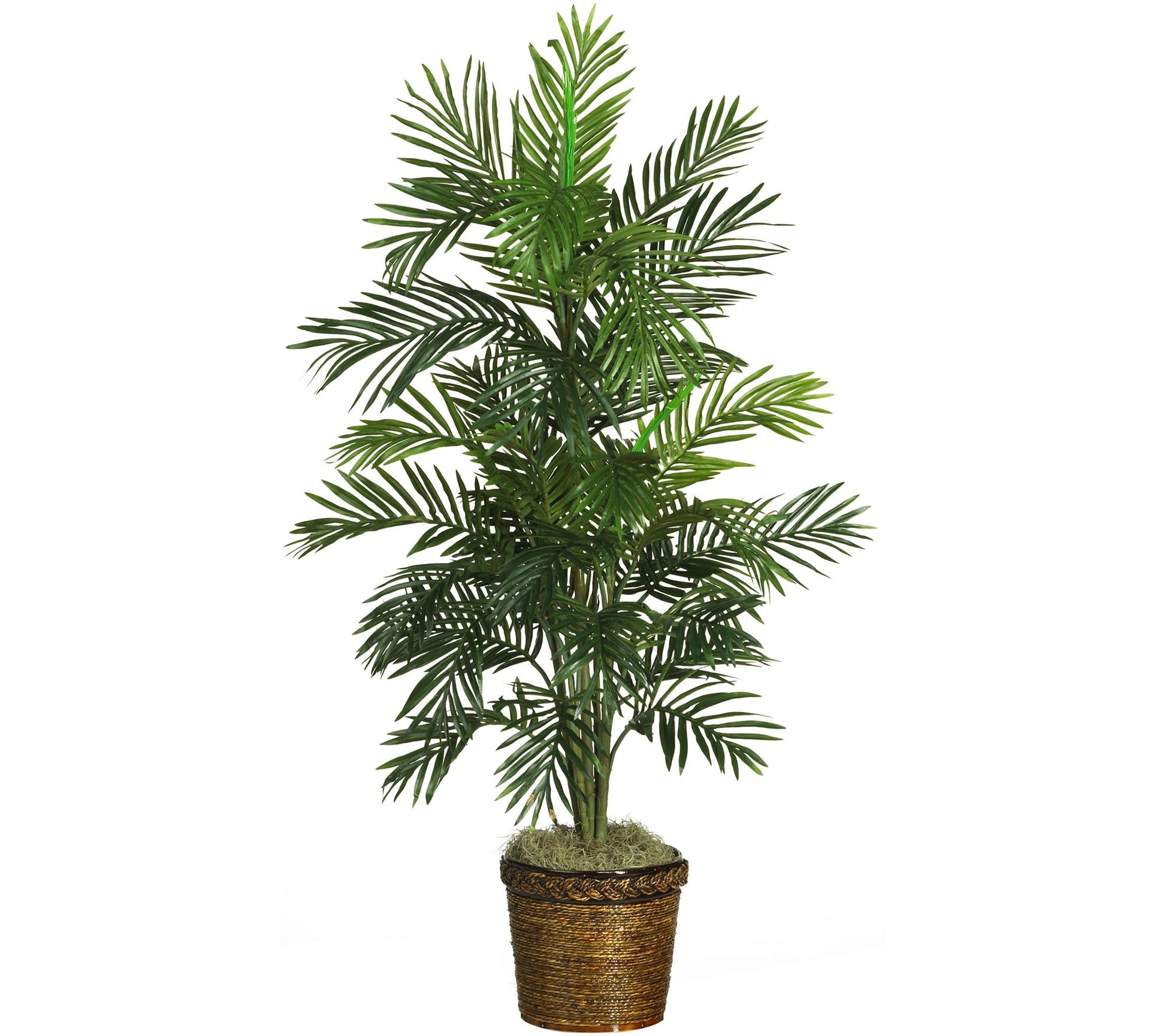 56" Areca Tree w/Basket by Nearly Natural