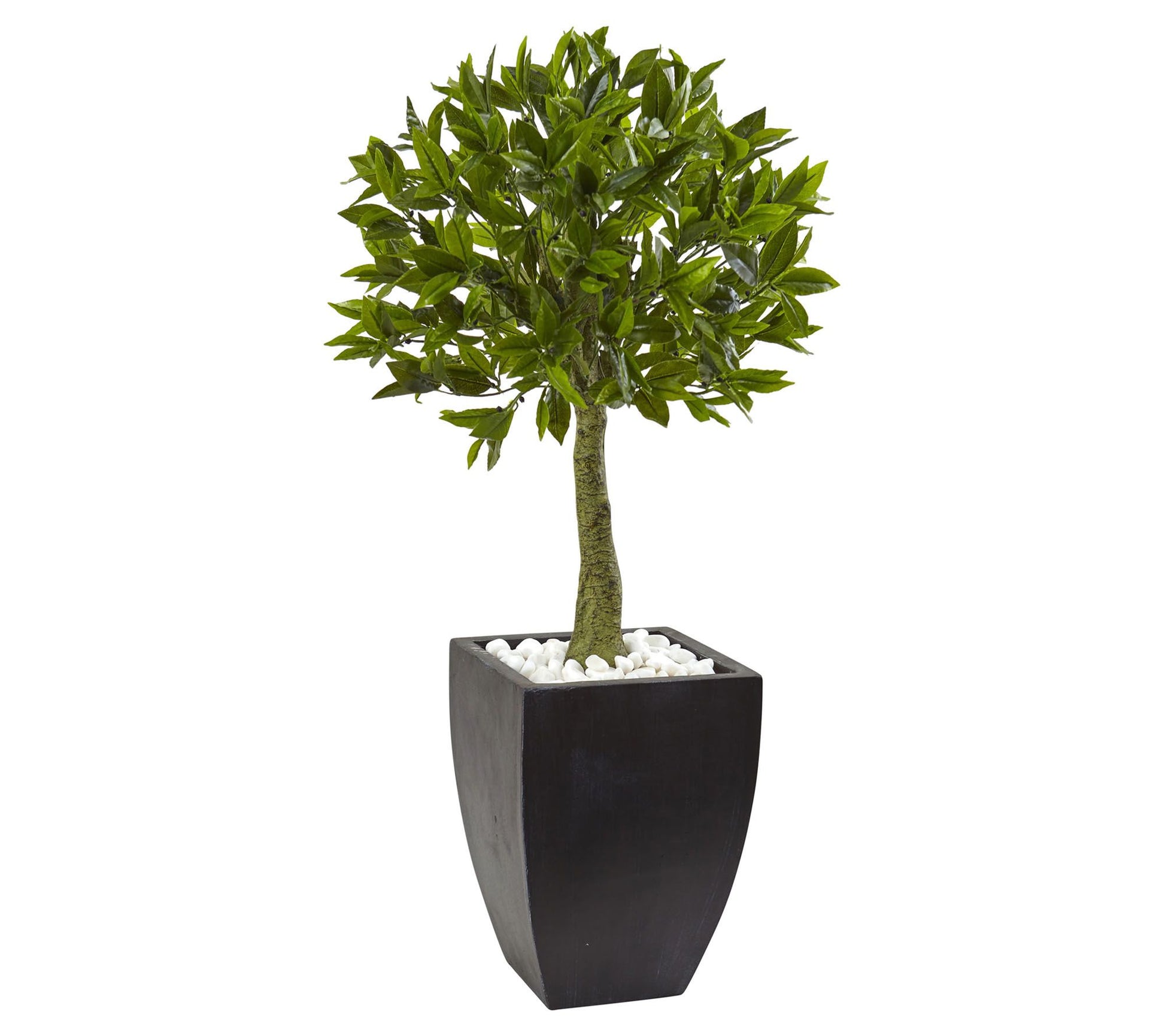 3.5' Bay Leaf Tree with Black Planter by NearlyNatural