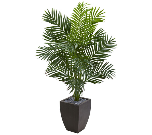 5.5 ft. Paradise Palm in Black Planter by Nearly Natural