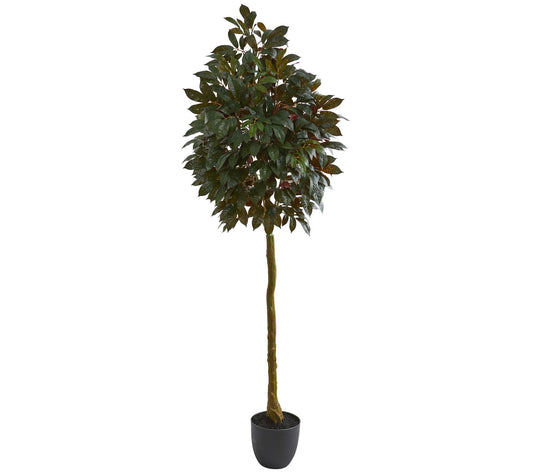 75" Artificial Capensia Ficus Tree by Nearly Natural