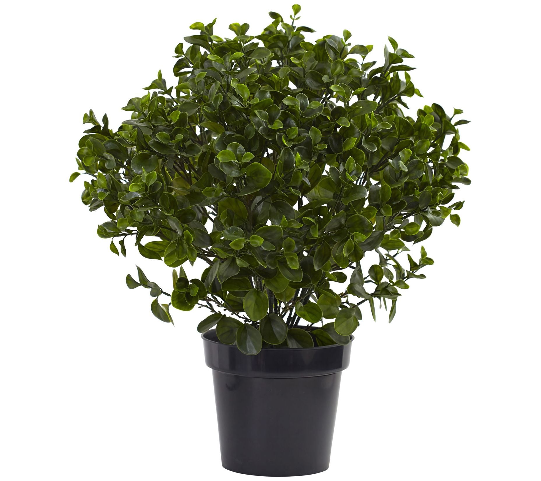 28" Peperomia Plant by Nearly Natural