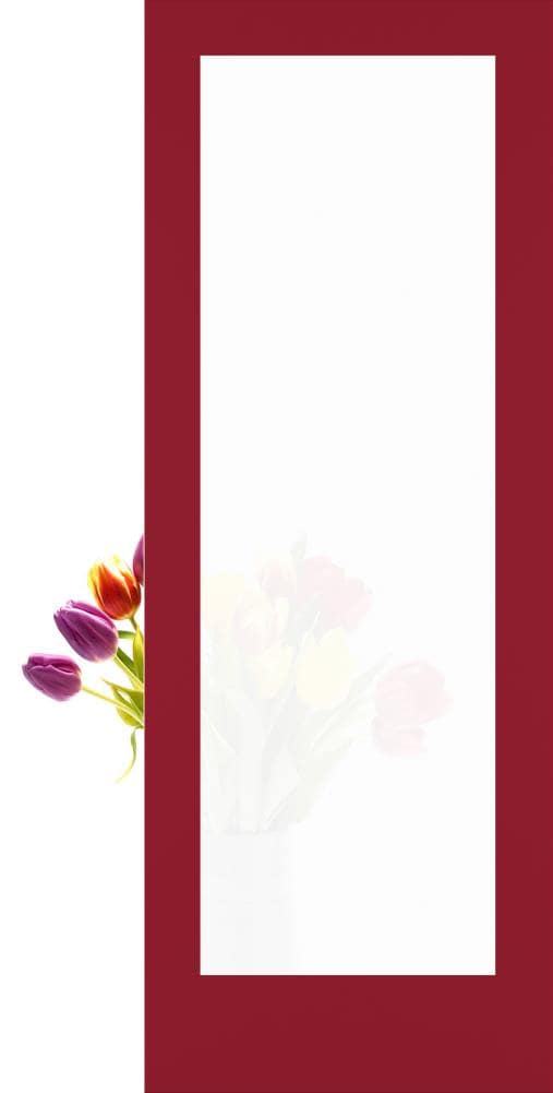 RELIABILT Shaker 28-in x 80-in Barn Red 1-panel Frosted glass Smooth Solid core Prefinished Pine Wood Slab Door