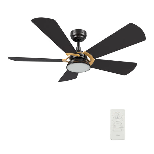CARRO USA Bradford 52-in Black Indoor/Outdoor Smart Ceiling Fan with Light and Remote (5-Blade) LS525B6-L12-B2-1G