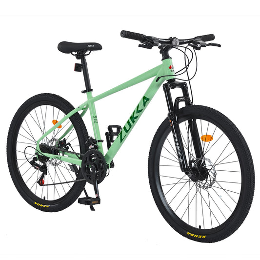Flynama 26-in Adult unisex Mountain bike