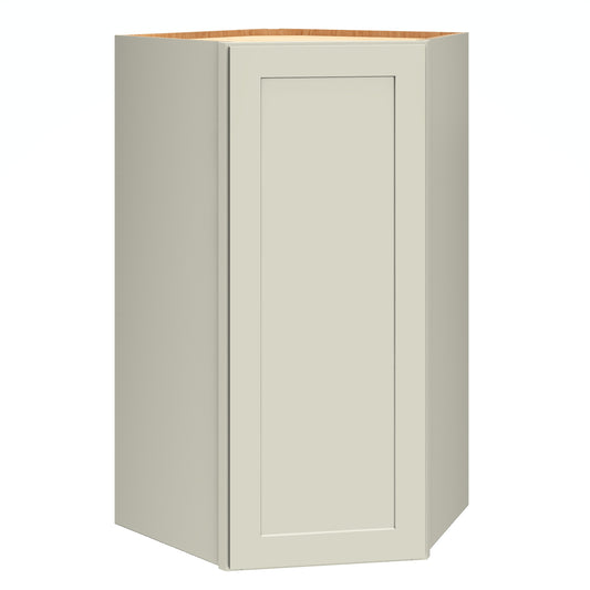 Diamond Express Jamestown 24-in W x 39-in H x 24-in D Icy Avalanche Diagonal Corner wall Fully assembled Plywood Cabinet Recessed Panel