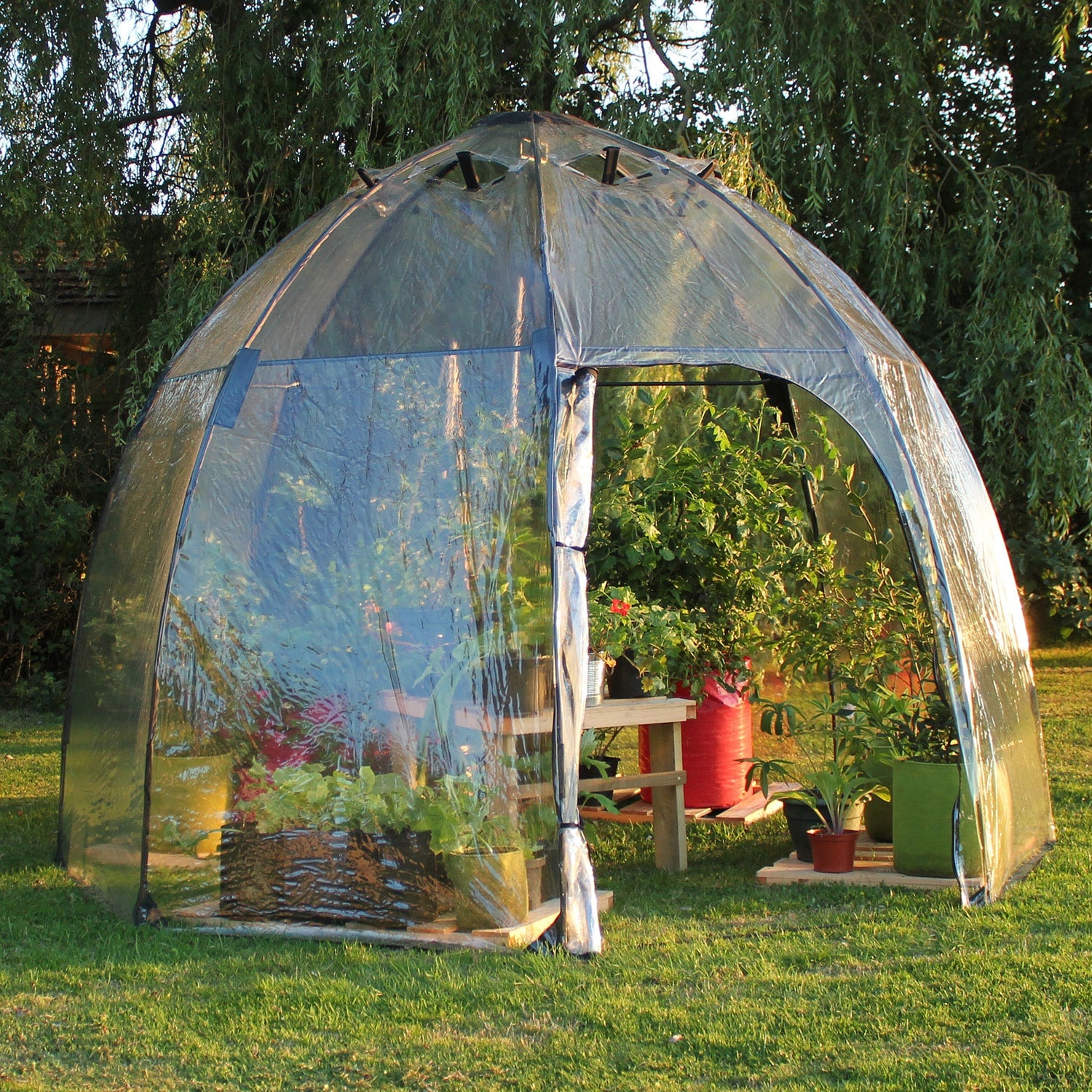  9.18-ft L x 9.18-ft W x 6.5-ft H Clear Greenhouse Kit