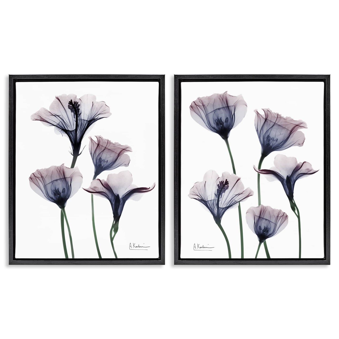 Stupell Industries  Bountiful Dusk Lilies 2pc Floating Frame Set Design by Albert Koetsier