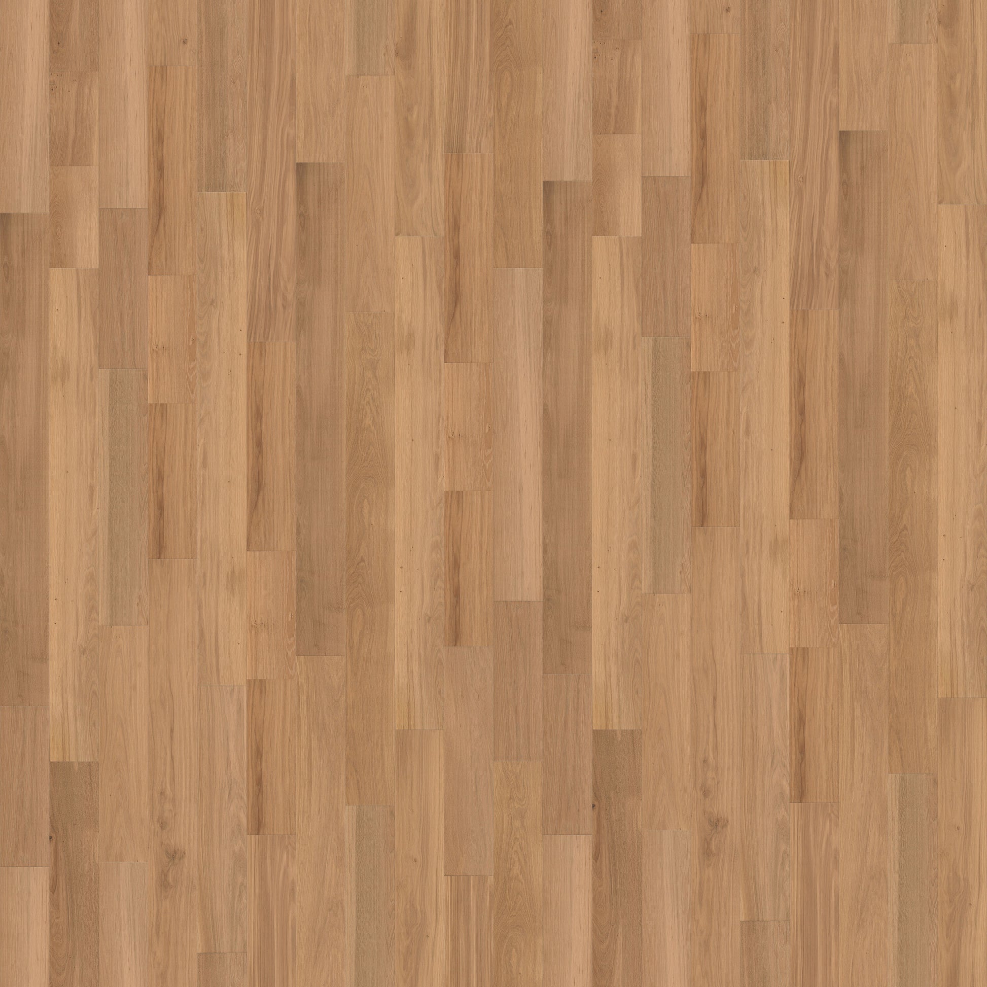 CALI Cellar Vintner Gold European white oak 1/2-in T x 7-55/64-in W Wirebrushed Engineered Hardwood Flooring ( 31-sq ft / Carton )