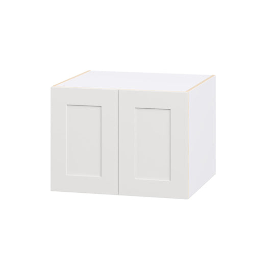 Hugo&Borg Jolie 27-in W x 20-in H x 24-in D Warm White Wall Fully assembled Cabinet Recessed Panel