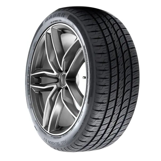 Radar All Season EV All Season 245/45R19 102W XL Electric Vehicle Tire
