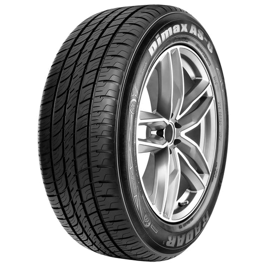 Radar Dimax AS-8 All Season 265/30R19 93Y XL Passenger Tire