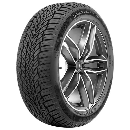 Radar Dimax All Weather All Season 205/55R17 95W XL Passenger Tire