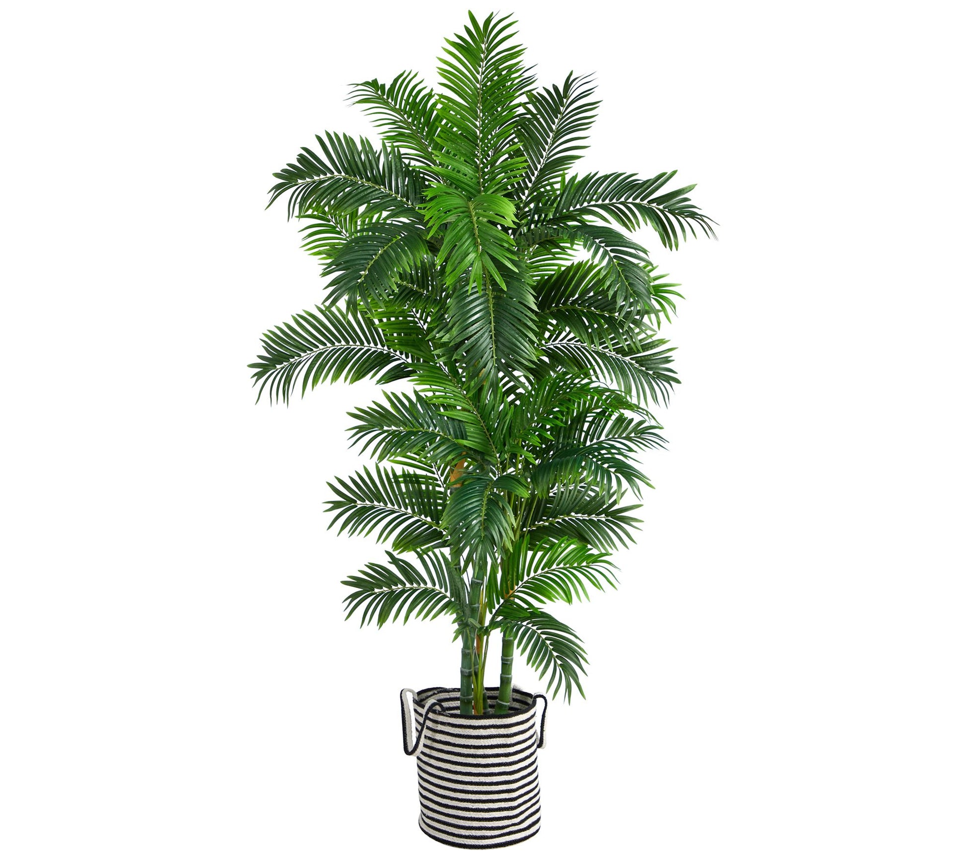 6' Curvy Parlor Palm Tree in Planter by Nearlyatural