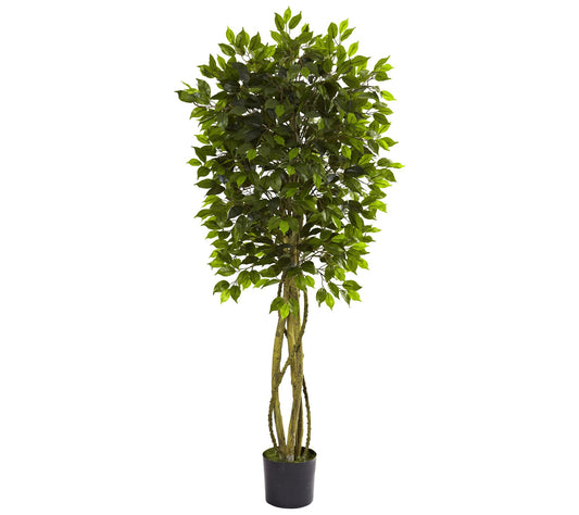 5-1/2' Indoor/Outdoor Ficus Tree by Nearly Natural