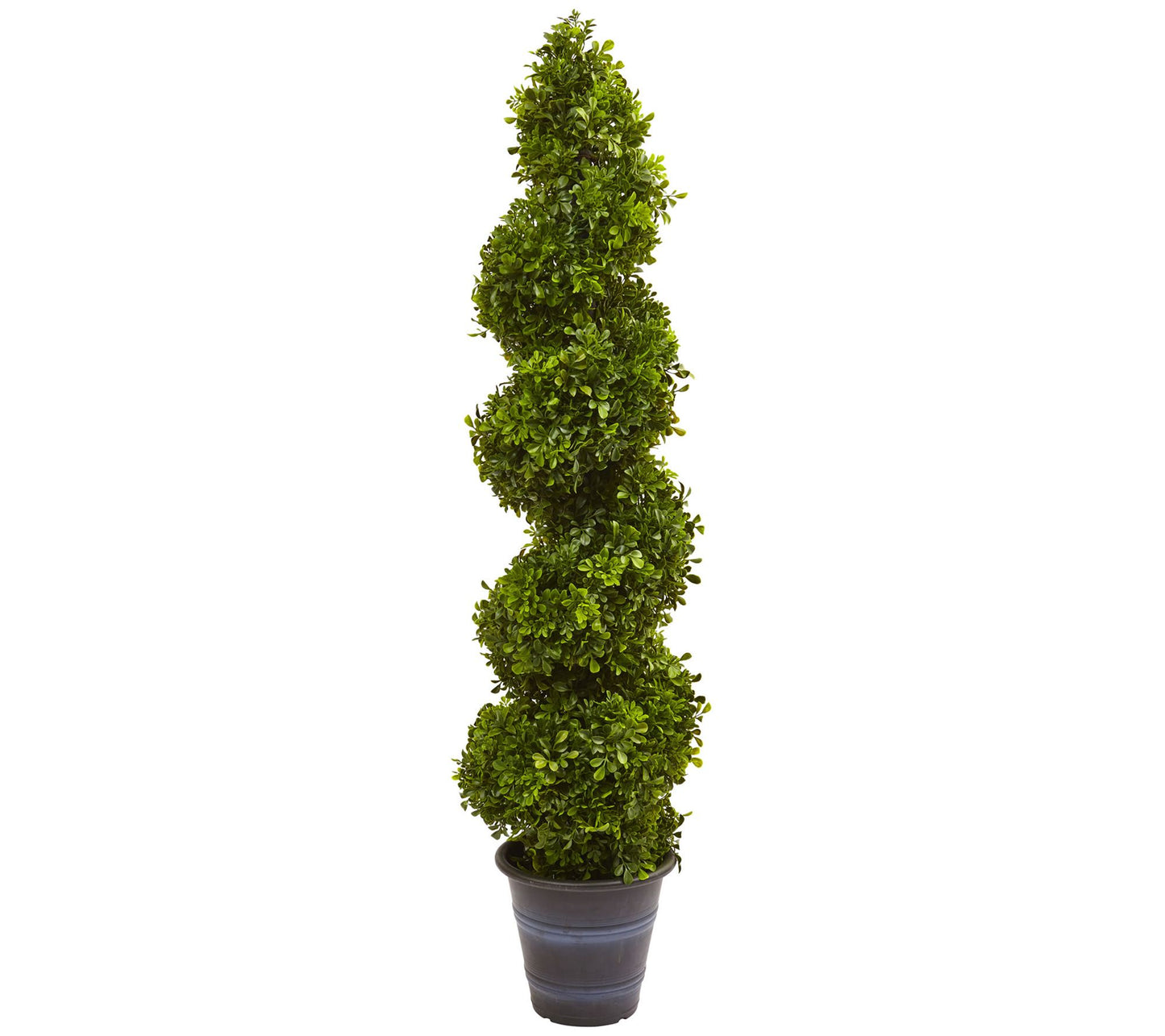 4' Boxwood Spiral Topiary Tree in Planter  by Nearly Natural