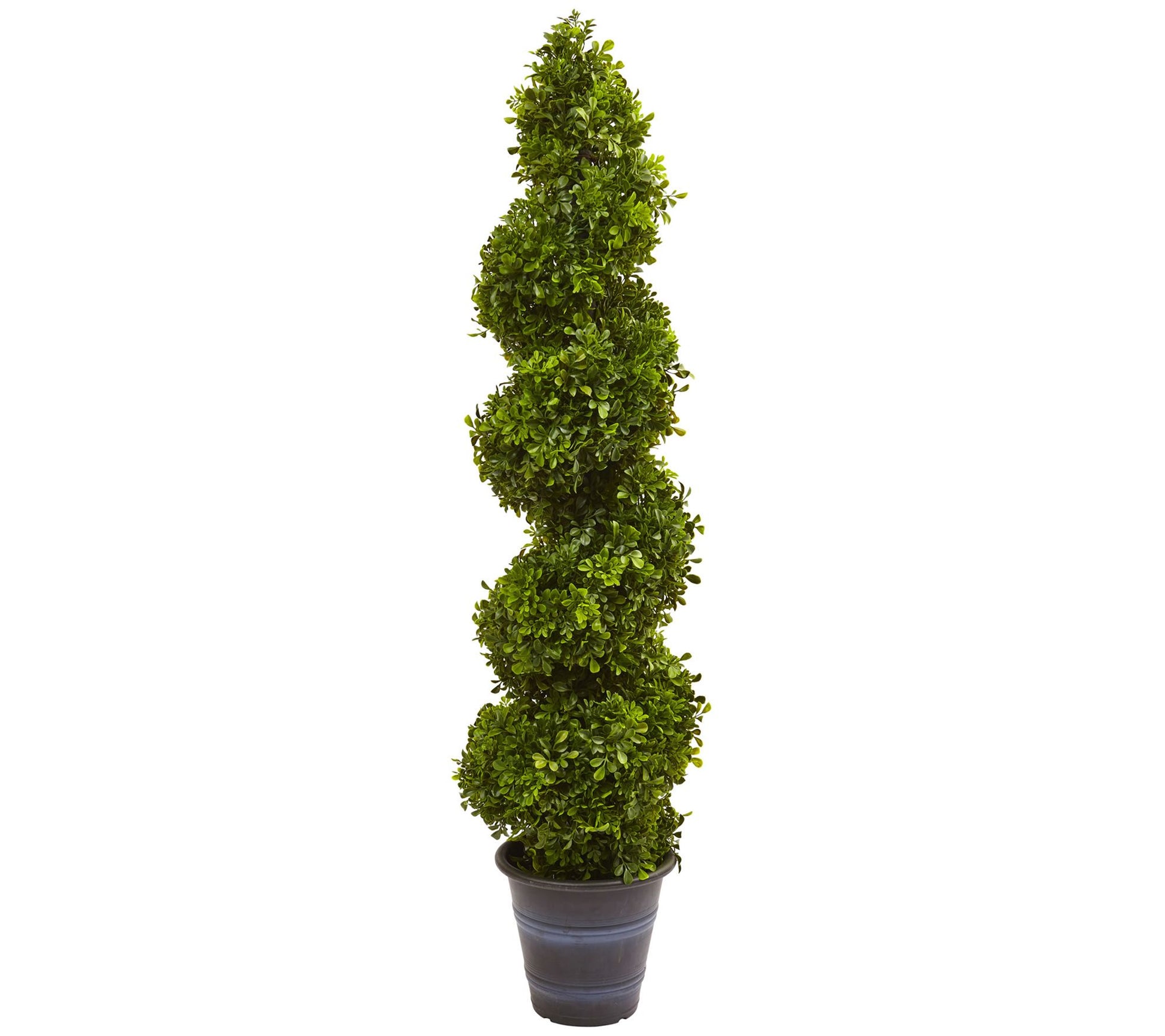 4' Boxwood Spiral Topiary Tree in Planter  by Nearly Natural