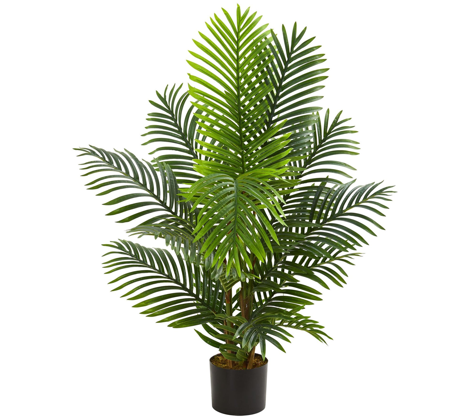 4' Paradise Palm Artificial Tree by Nearly Natural