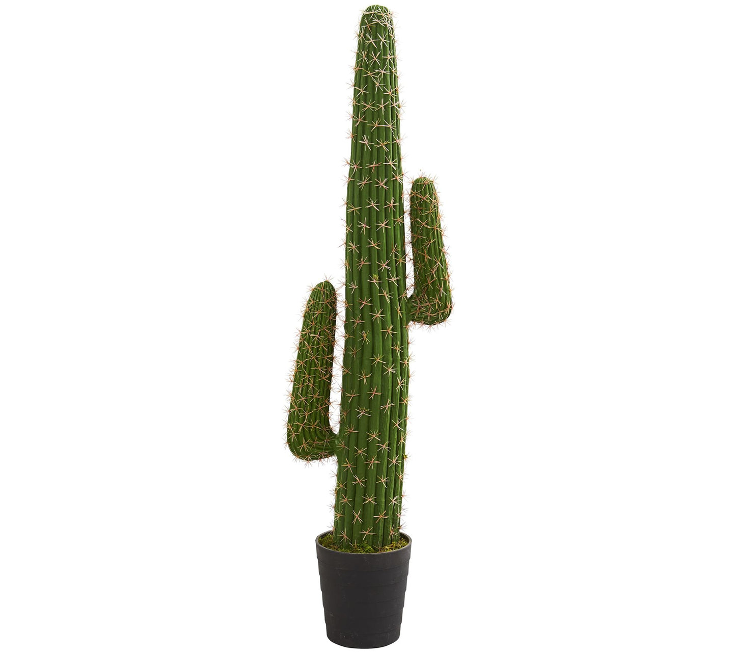 4.5' Cactus Artificial Plant by Nearly Natural