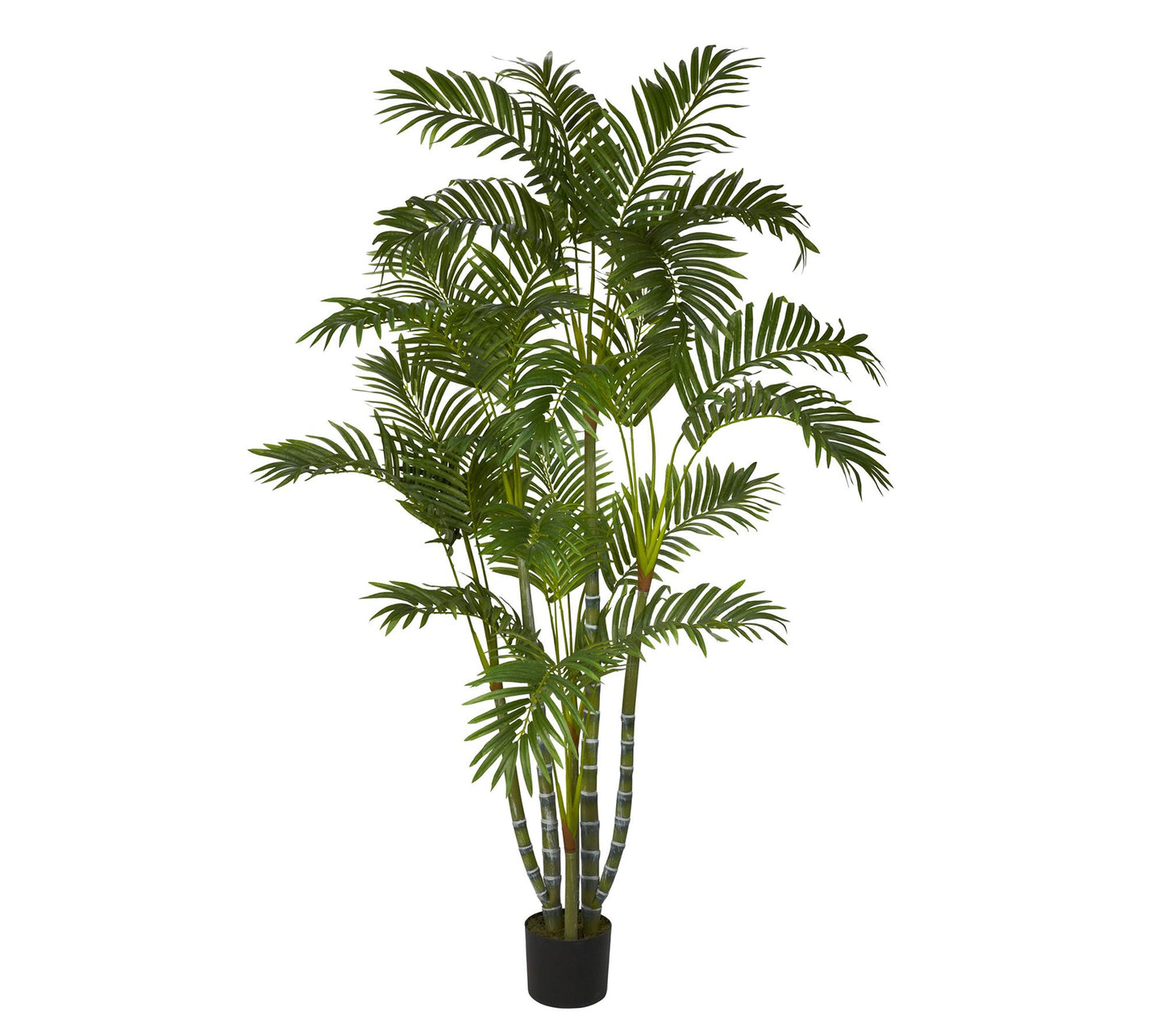5' Areca Silk Tree by Nearly Natural