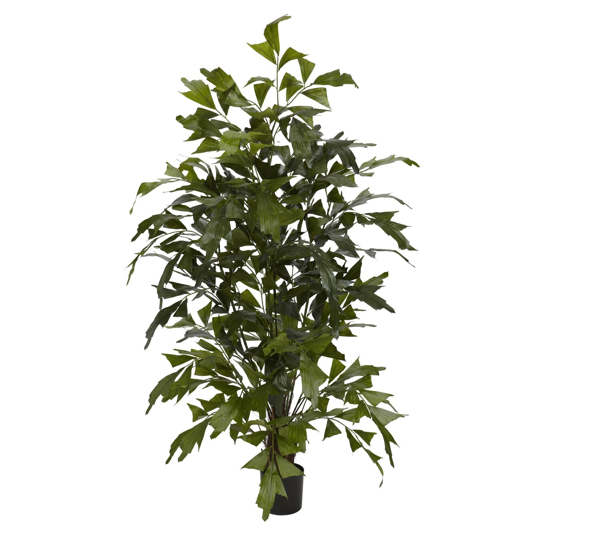 4.5' Fishtail Palm Tree by Nearly Natural