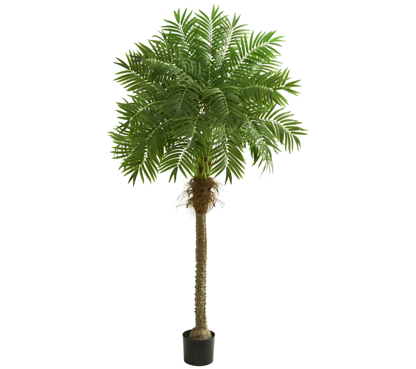 80" Artificial Robellini Palm Tree by Nearly Natural