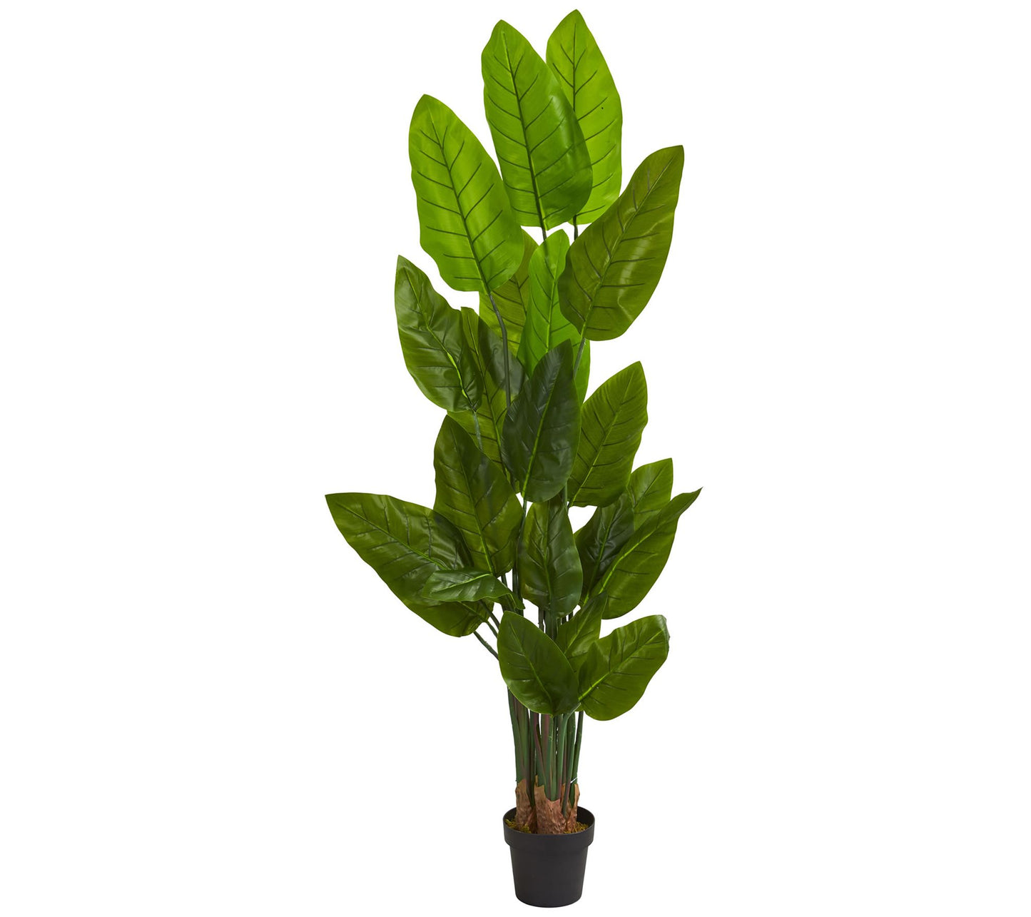 6' Artificial Canna Tree by Nearly Natural