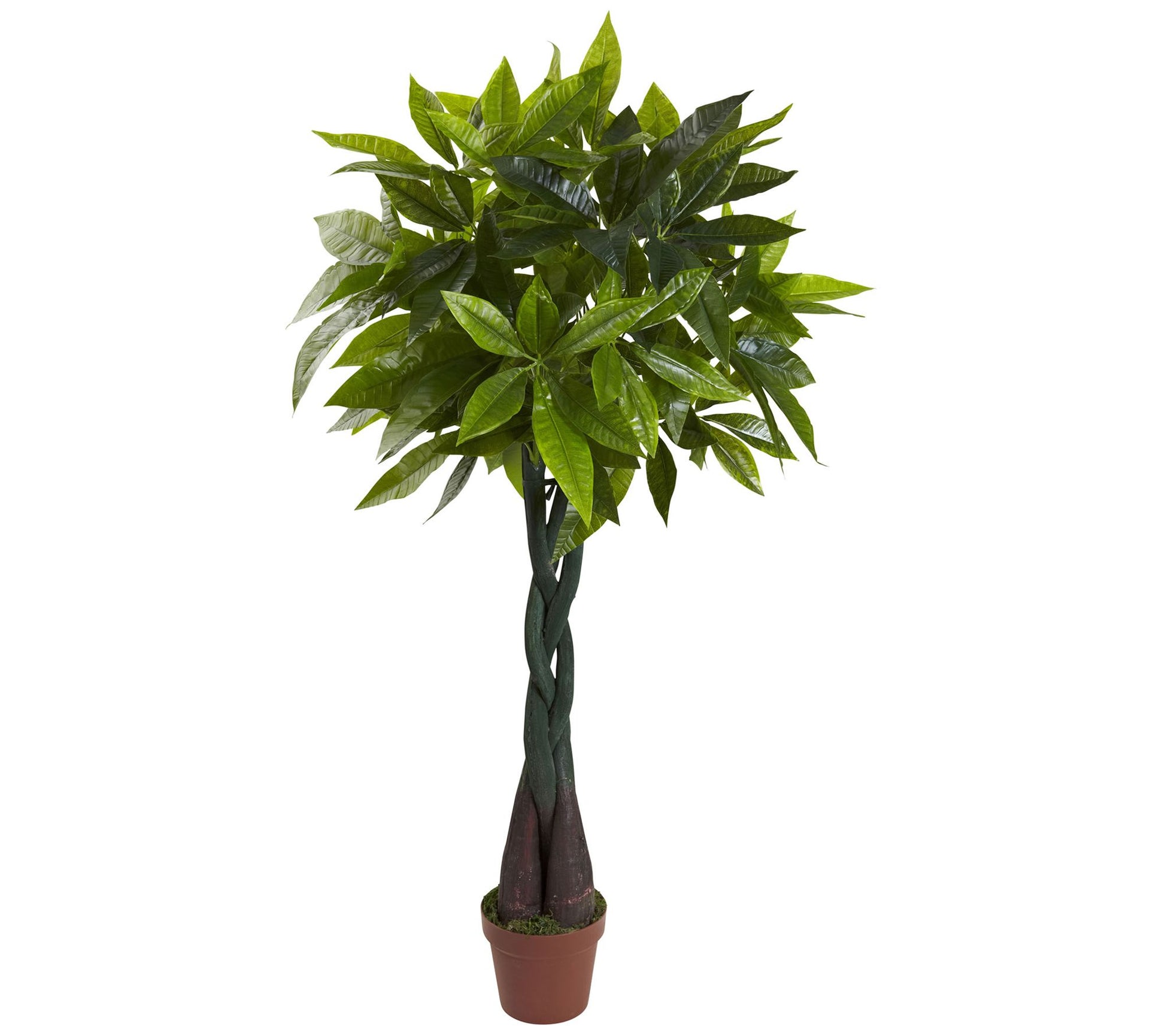 4' Money Plant Real Touch by Nearly Natural