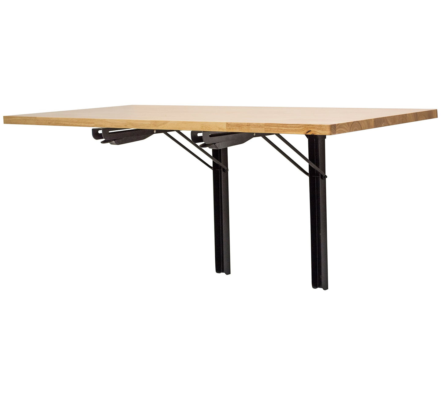 Sportsman Series Wall-Mounted Folding Workbench