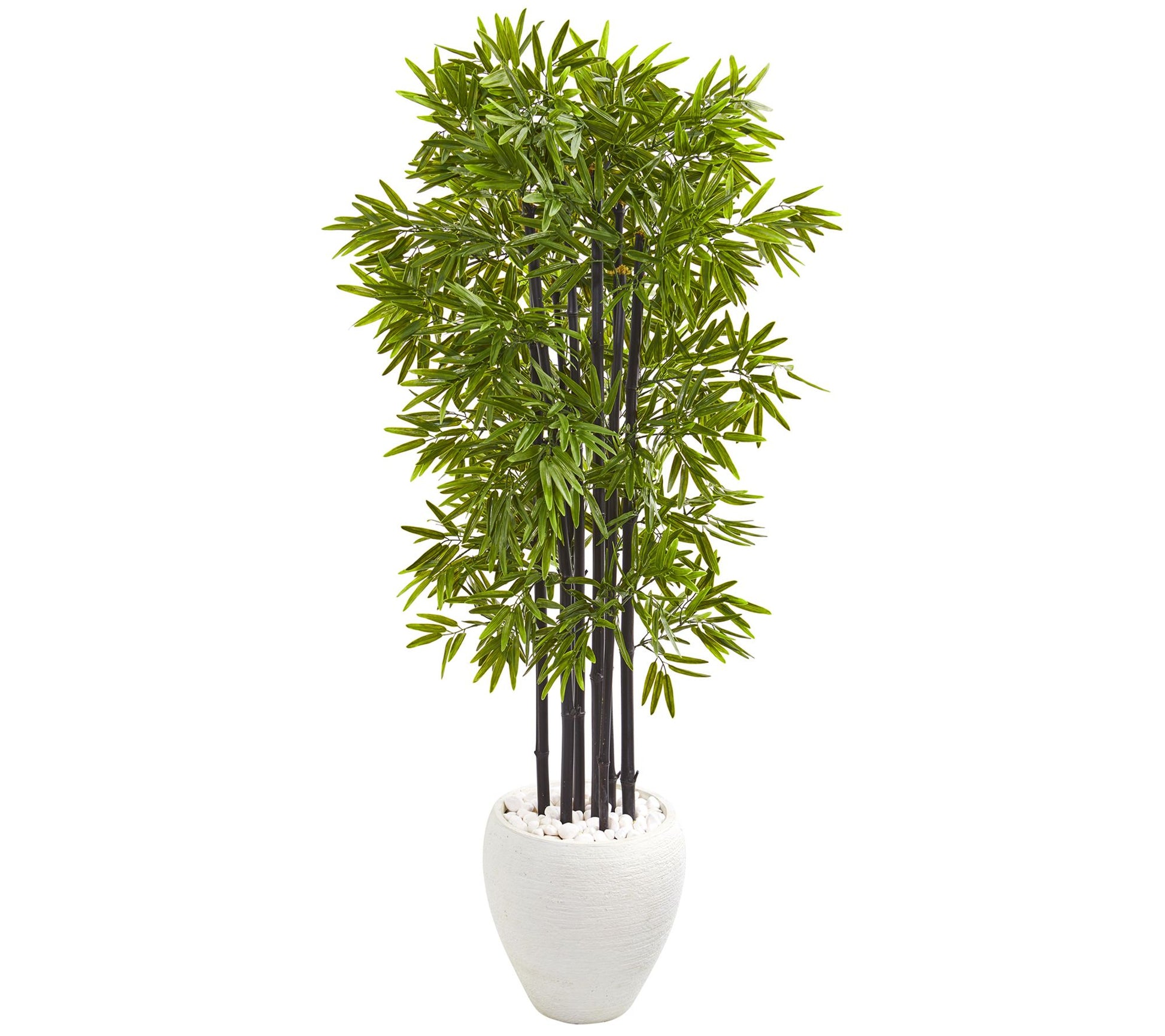 5' Bamboo Tree in White Planter by Nearly Natural