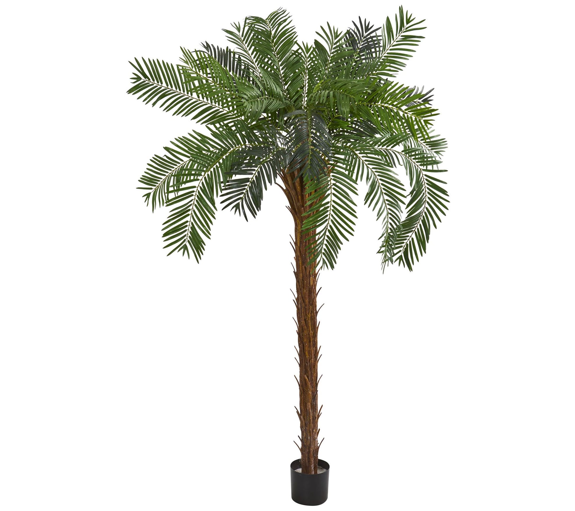 7' Cycas Palm Artificial Tree by Nearly Natural