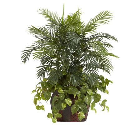 3-1/2' Double Areca with Vase & Pothos Plant byNearly Natural