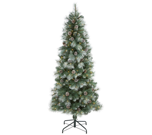 6' Lit Frosted Mountain Pine Christmas Tree byearly Natural
