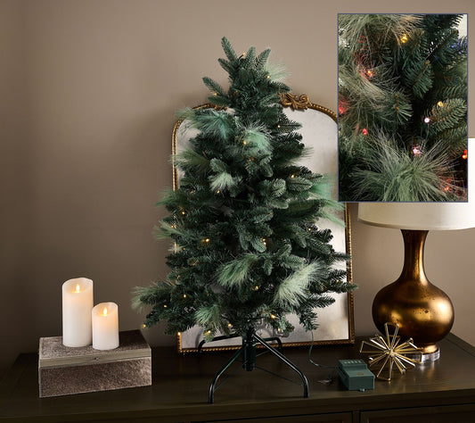 40" Illuminated Indoor/Outdoor Pampas Stake Tree by Kim Gravel